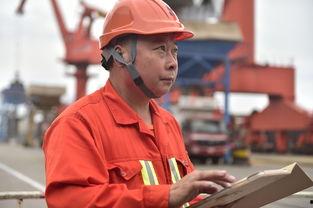 泉州新闻爆料王陈淼鑫,王陈淼鑫事件引发社会关注